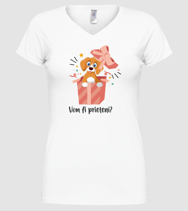Vom fi prieteni? model alb pe tricou