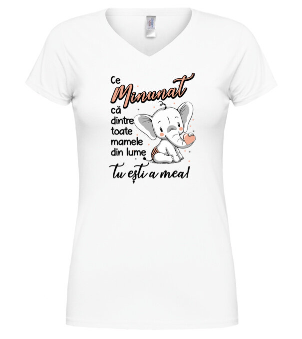  model  pe tricou