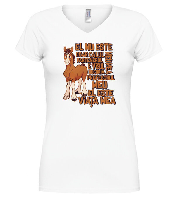  model  pe tricou