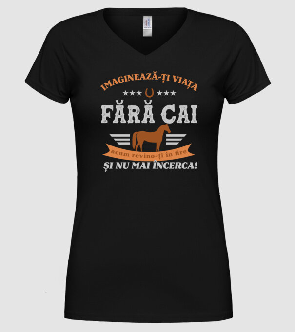 Imaginează-ți viața fără cai, acum revino-ți în fire și nu mai încerca! model negru pe tricou