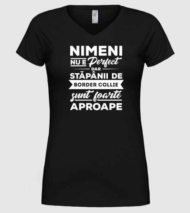 nimeni nu e perfect, dar stăpânii de border collie sunt foarte aproape model negru pe tricou