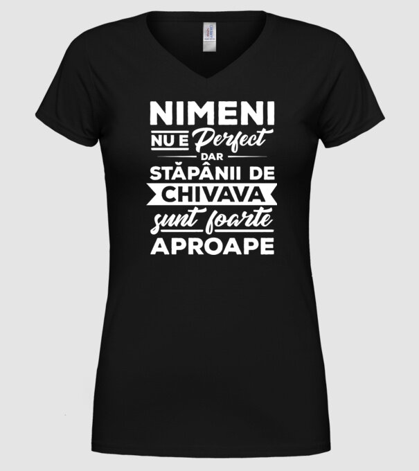 nimeni nu e perfect, dar stăpânii de chivava sunt foarte aproape model negru pe tricou