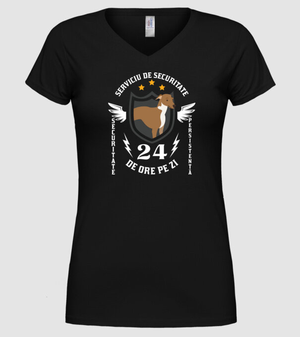 serviciu de securitate - securitate - persistență - 24 de ore pe zi model negru pe tricou