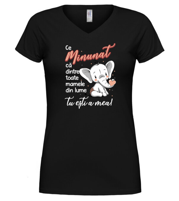  model  pe tricou