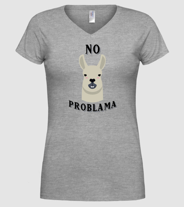 No problama model gri pe tricou