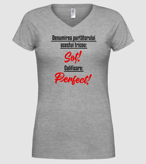 Denumirea purtătorului acestui tricou: Soț! Calificare: Perfect! model gri pe tricou