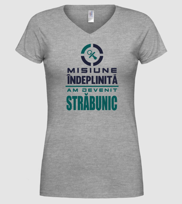misiune îndeplinită - am devenit străbunic model gri pe tricou