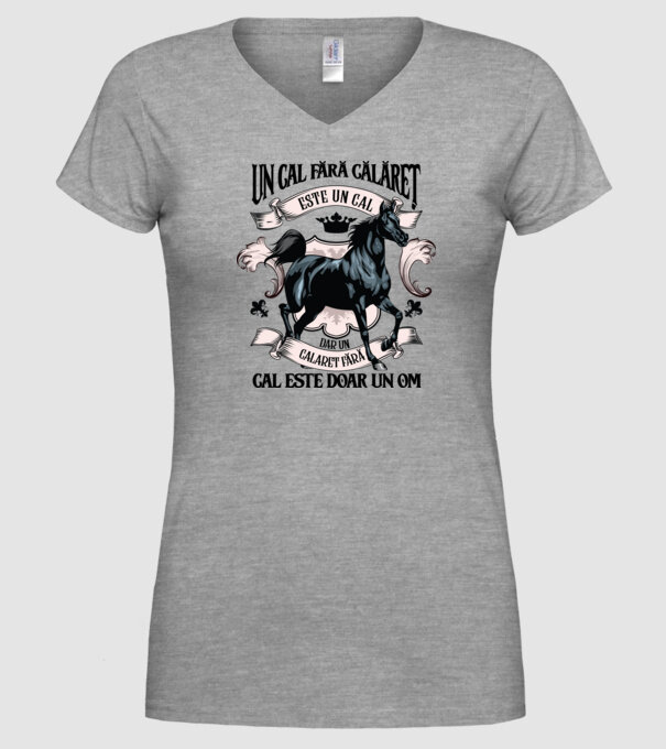un cal fără călăreț este un cal - dar un călăreț fără cal este doar un om model gri pe tricou