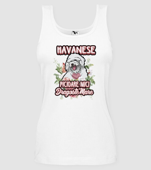 havanese : picioare mici dragoste mare model alb pe tricou
