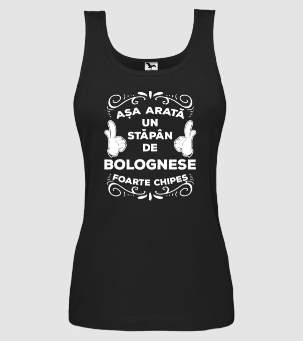 Așa arată un stăpân de Bolognese foarte chipeș model negru pe tricou