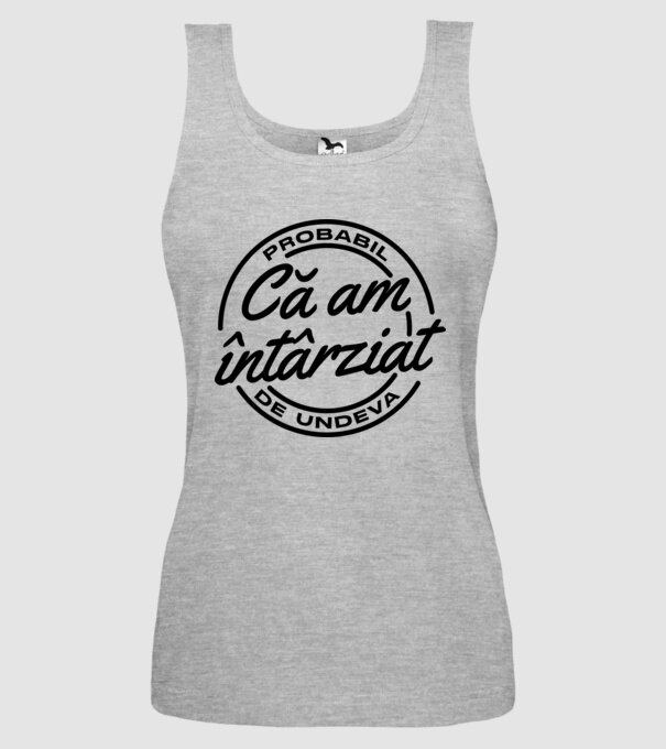 Probabil că am întârziat de undeva model gri pe tricou