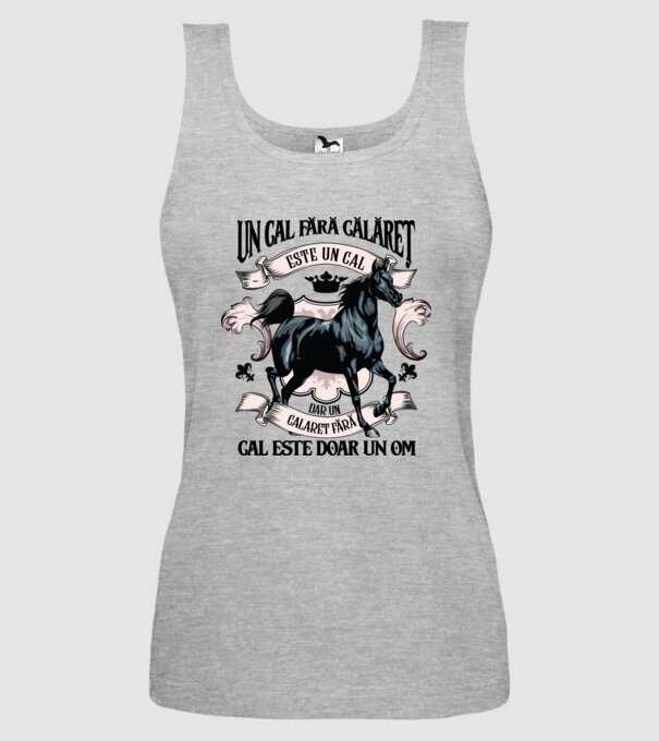 un cal fără călăreț este un cal - dar un călăreț fără cal este doar un om model gri pe tricou