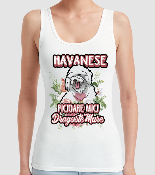 havanese : picioare mici dragoste mare model alb pe tricou