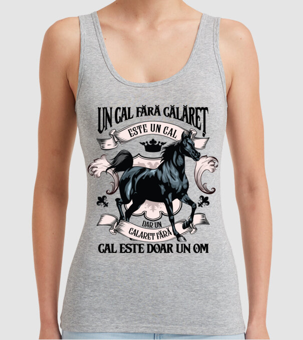 un cal fără călăreț este un cal - dar un călăreț fără cal este doar un om model gri pe tricou