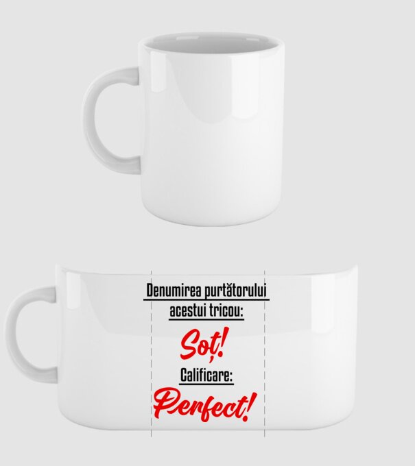 Denumirea purtătorului acestui tricou: Soț! Calificare: Perfect! model alb pe tricou