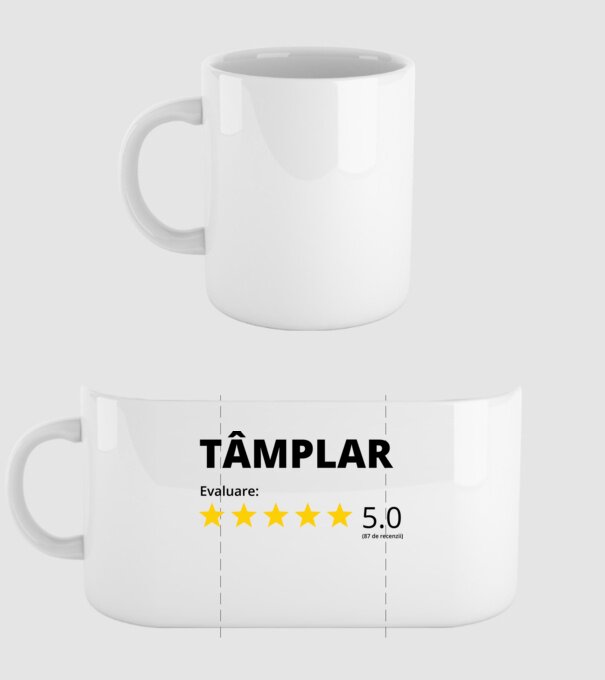 Evaluare - TÂMPLAR model alb pe tricou