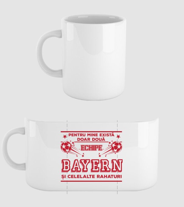 Pentru mine există doar două echipe, Bayern și celelalte rahaturi model alb pe tricou