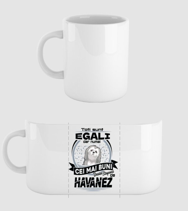 Toți sunt egali, dar numai cei mai buni devin stăpâni de havanez model alb pe tricou