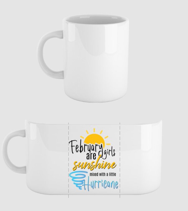 February Girls are Sunshine mixed with a little Hurricane model alb pe tricou