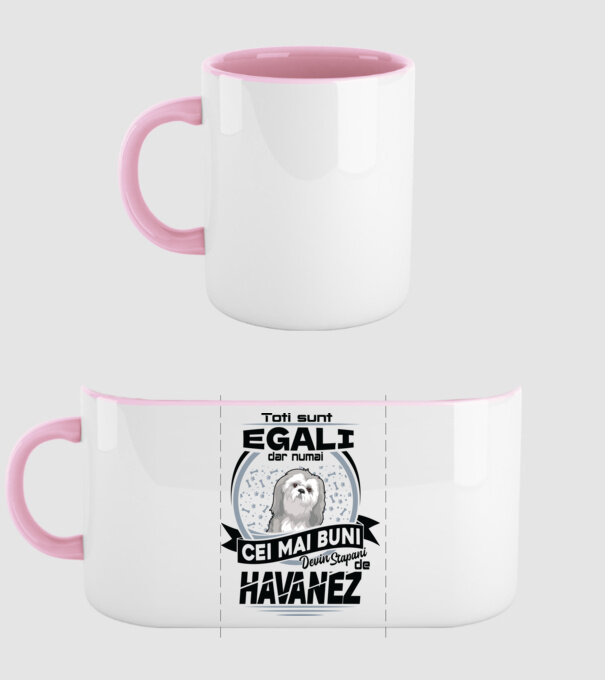 Toți sunt egali, dar numai cei mai buni devin stăpâni de havanez model roz deschis pe tricou