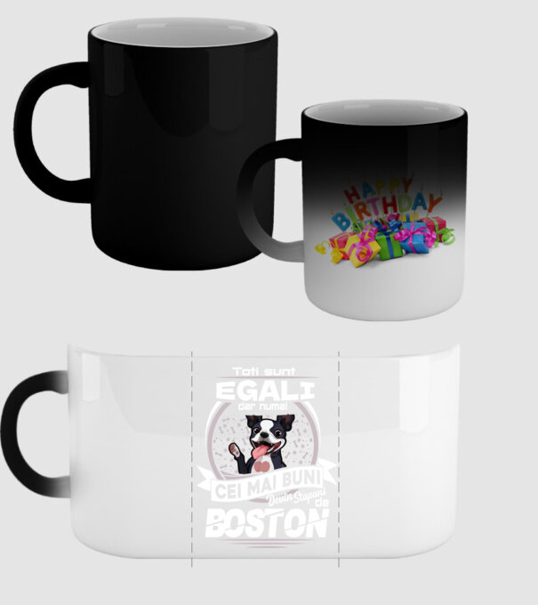 Toți sunt egali, dar numai cei mai buni devin stăpâni de boston lght model negru pe tricou