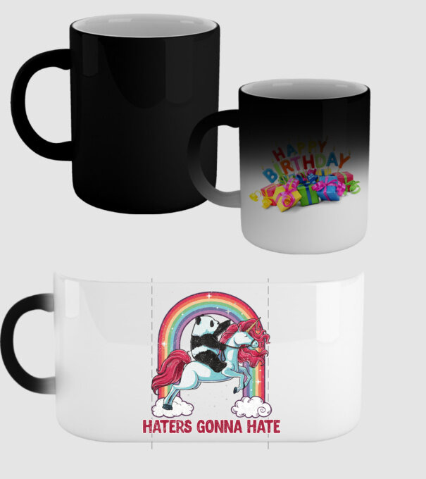 HATERS GONNA HATE model negru pe tricou