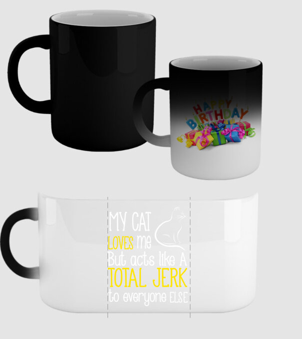 My cat loves me but acts like a total jerk to everyone else model negru pe tricou