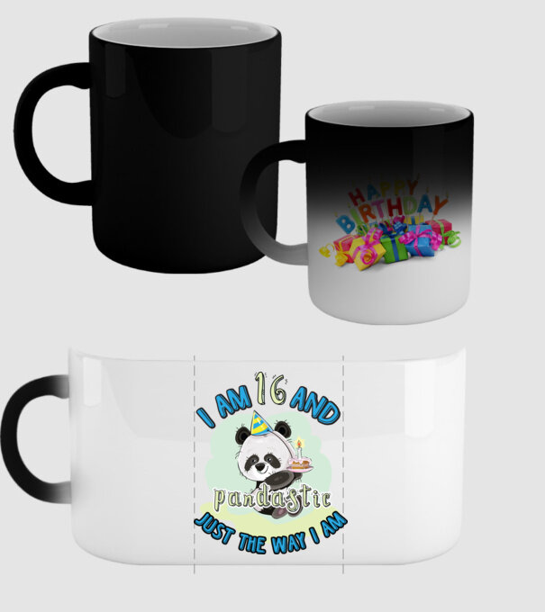 PANDASTIC 16 model negru pe tricou