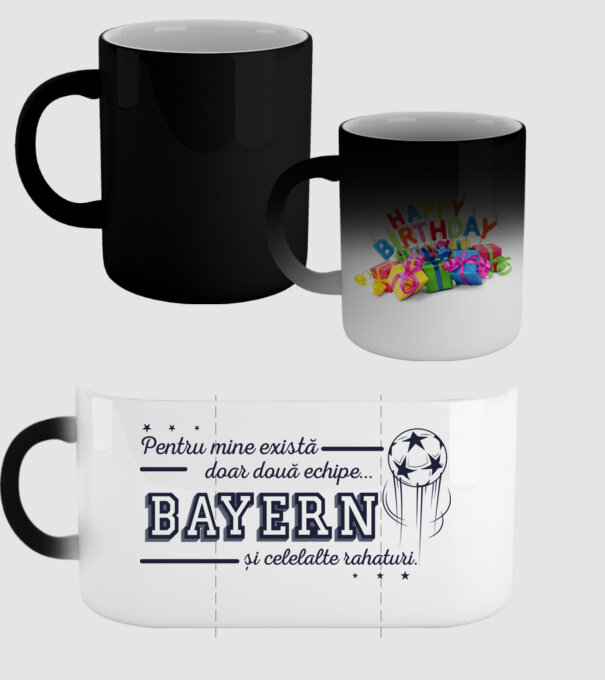 Pentru mine există doar două echipe, Bayern și celelalte rahaturi model negru pe tricou