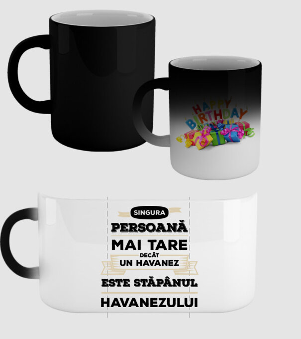 singura persoană mai tare decât un Havanez este stăpânul Havanezului model negru pe tricou