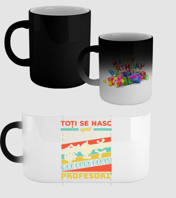 toți se nasc egali, dar numai cei mai buni devin profesori model negru pe tricou
