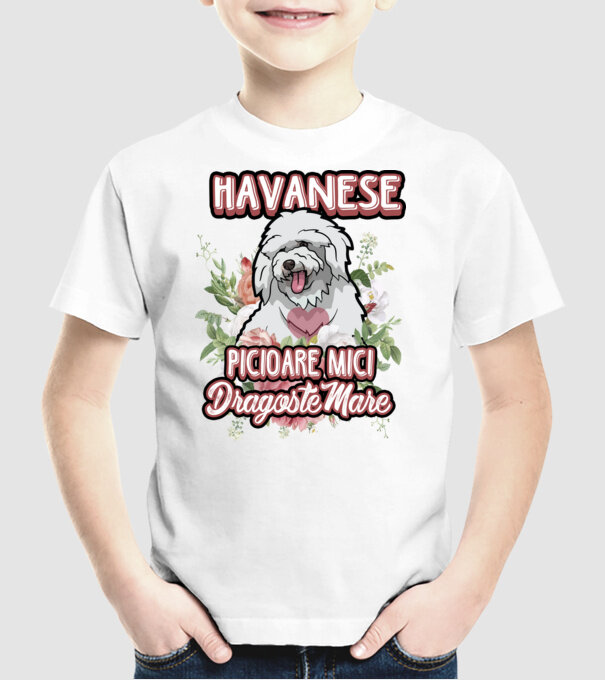 havanese : picioare mici dragoste mare model alb pe tricou