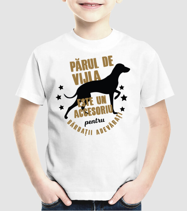 părul de vijla este un accesoriu pentru bărbații adevărați model alb pe tricou