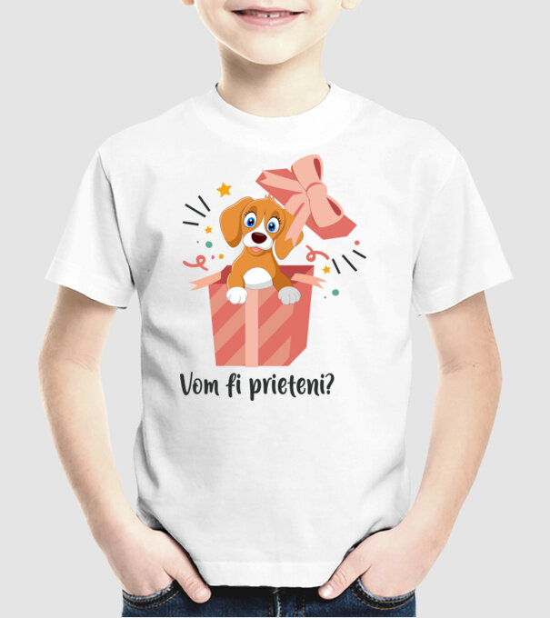 Vom fi prieteni? model alb pe tricou
