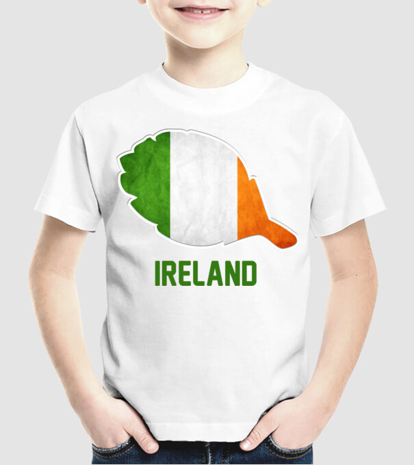 Steag irlandez model alb pe tricou