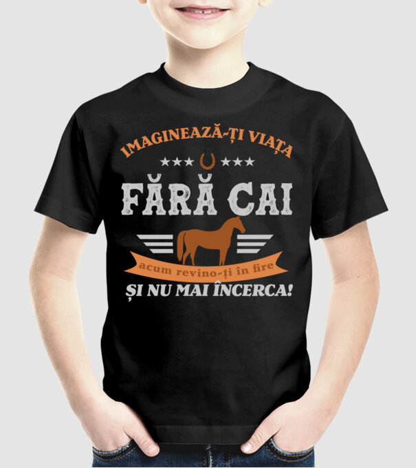 Imaginează-ți viața fără cai, acum revino-ți în fire și nu mai încerca! model negru pe tricou