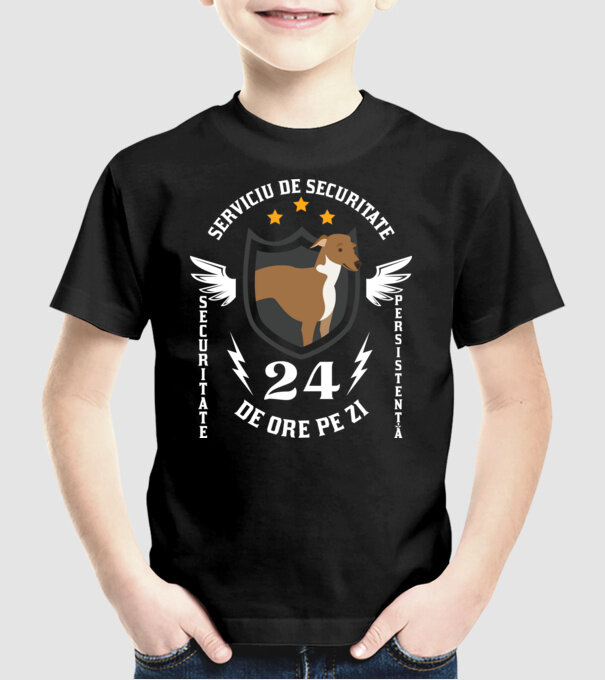 serviciu de securitate - securitate - persistență - 24 de ore pe zi model negru pe tricou