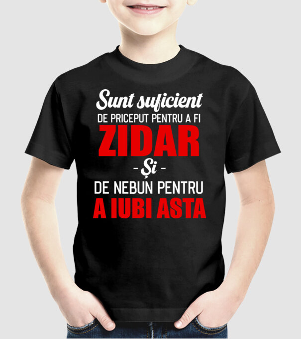Sunt suficient de priceput pentru a fi ZIDAR și suficient de nebun pentru a iubi asta model negru pe tricou