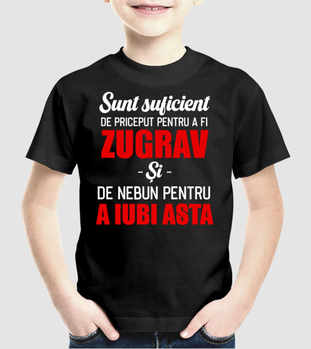 Sunt suficient de priceput pentru a fi ZUGRAV și suficient de nebun pentru a iubi asta model negru pe tricou