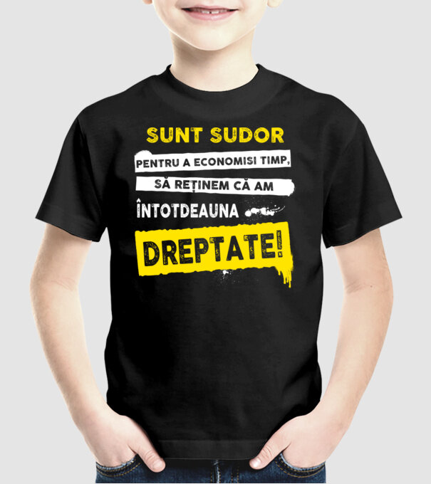 Sunt sudor, pentru a economisi timp, să reținem că am întotdeauna dreptate! model negru pe tricou