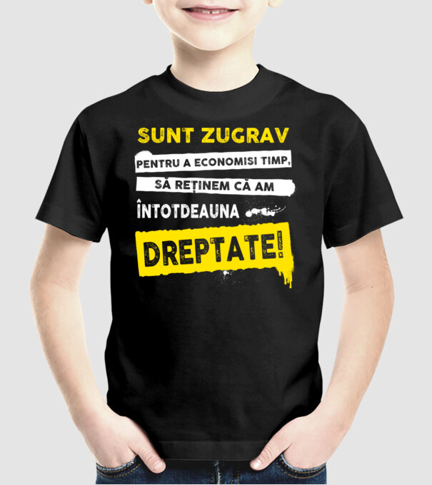 Sunt zugrav, pentru a economisi timp, să reținem că am întotdeauna dreptate! model negru pe tricou