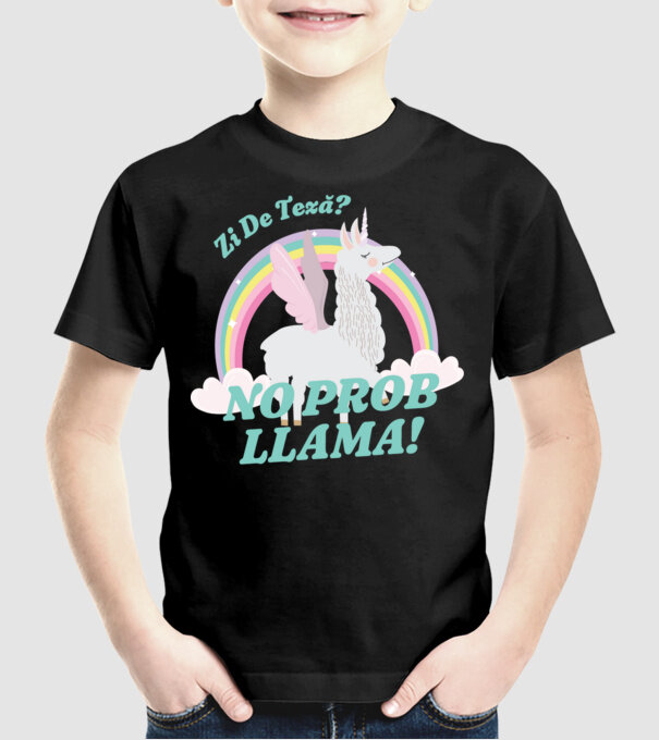 zi de teză? Mai bine mâine... model negru pe tricou