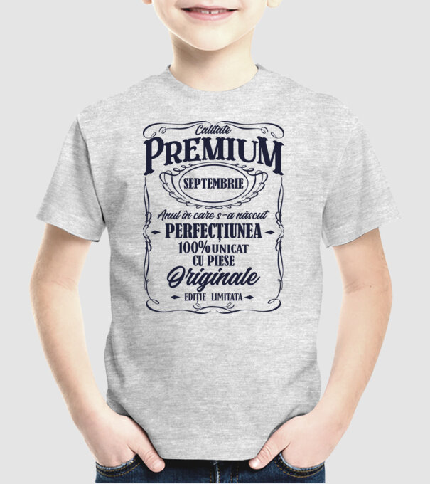 calitate premium -septembrie - anul în care s-a născut - perfecțiunea - 100% unicat, cu piese originale, ediție limitată model gri pe tricou