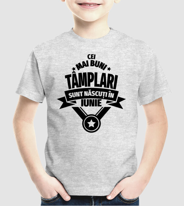 Cei mai buni tâmplari sunt născuți în Iunie model gri pe tricou