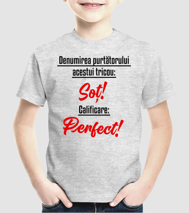 Denumirea purtătorului acestui tricou: Soț! Calificare: Perfect! model gri pe tricou