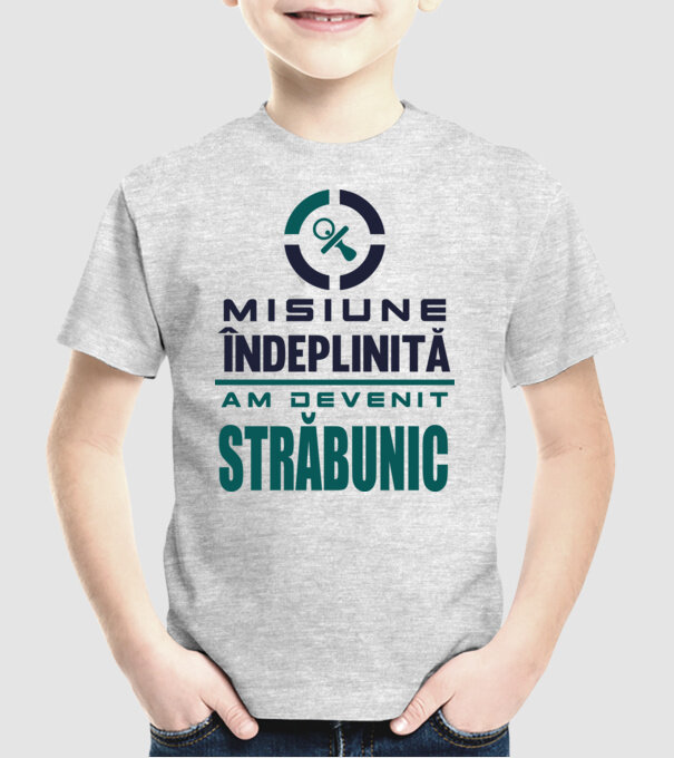 misiune îndeplinită - am devenit străbunic model gri pe tricou