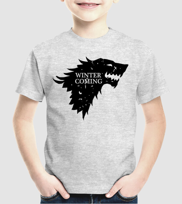 Winter is Coming model gri pe tricou