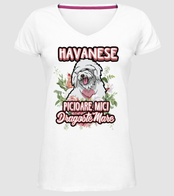 havanese : picioare mici dragoste mare model alb pe tricou