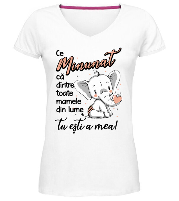  model  pe tricou
