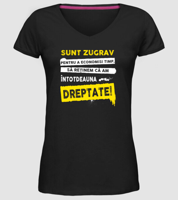 Sunt zugrav, pentru a economisi timp, să reținem că am întotdeauna dreptate! model negru pe tricou
